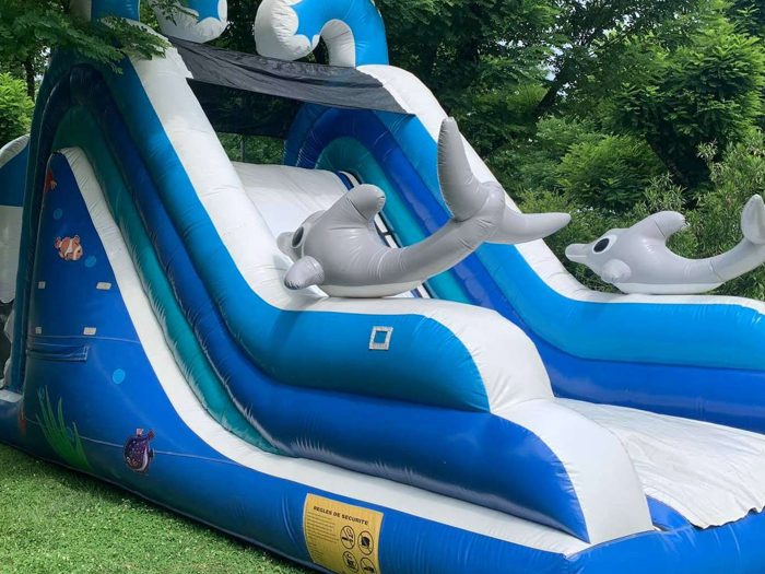 Toboggan Dauphin
